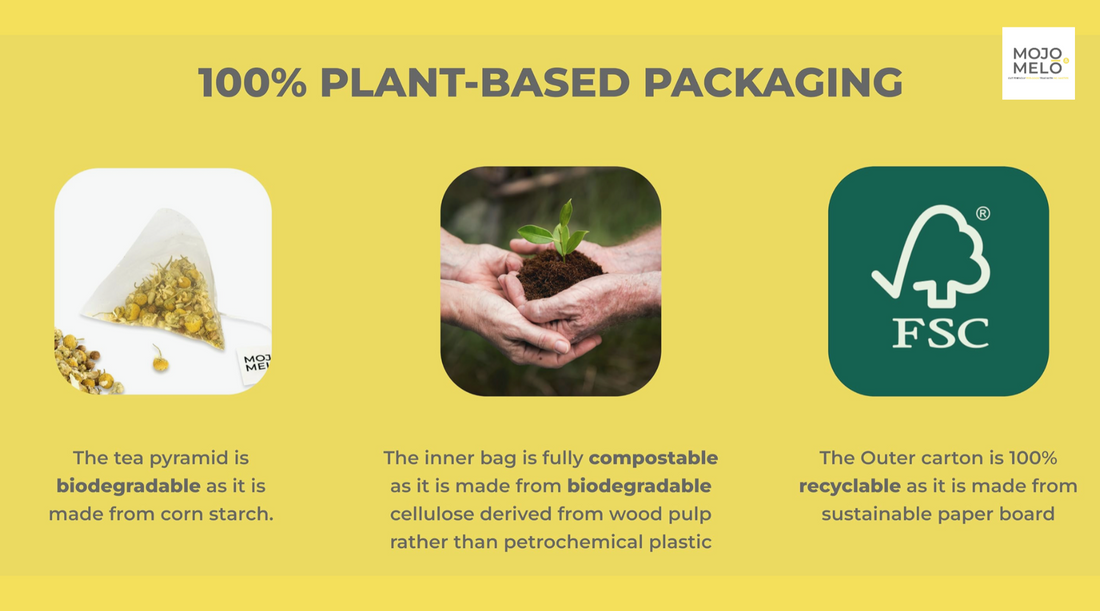 Mojo & Melo: Championing Sustainability and Organic Excellence in Tea Production