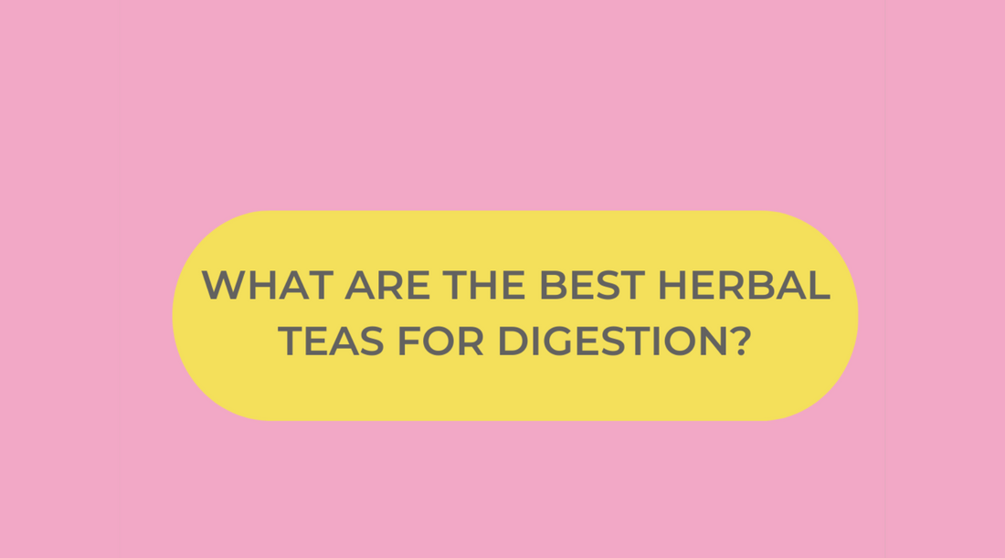The Best Herbal Teas for Digestion: Natural Remedies for a Healthy Gut