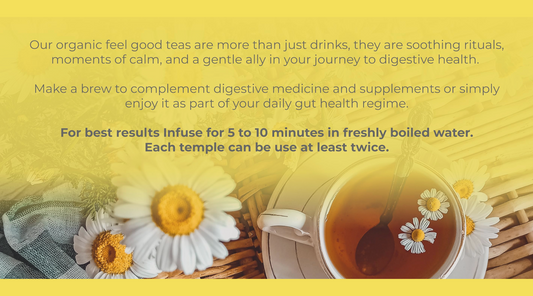 ✨ Discover the Healing Power of Herbal Tea: Experience Mojo & Melo's Organic Blends