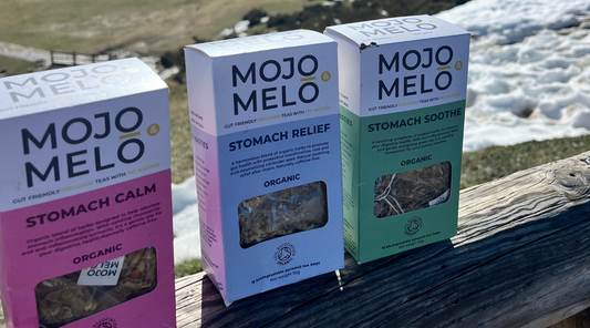 Boost Workplace Productivity and Wellness with MOJO & MELO Herbal Teas: The Natural Solution to Managing Stress and Enhancing Focus