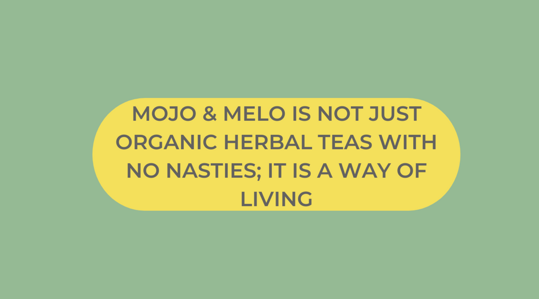 The Power of Prevention: Unlocking the Benefits of Herbal Teas for Gut Health with MOJO & MELO